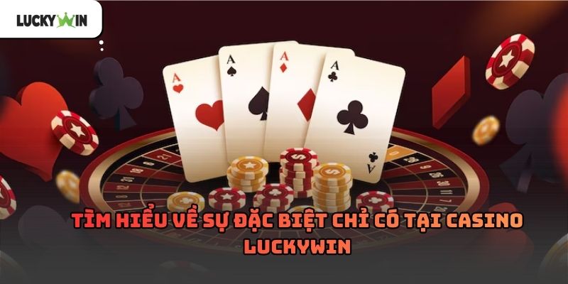 Casino luckywin – Toàn cảnh nền tảng giải trí trực tuyến