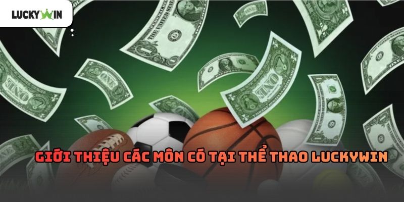 Thể thao luckywin – Nền tảng thể thao trực tuyến 2026